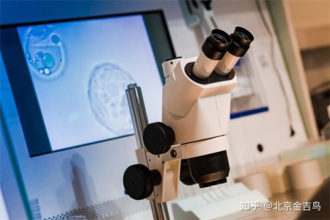 TCT检查结果多久出来